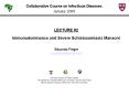 Immunodominance and Severe Schistosomiasis Mansoni PowerPoint PPT Presentation