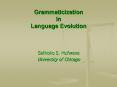 Grammaticization in Language Evolution PowerPoint PPT Presentation