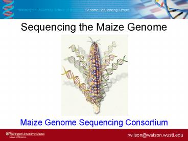 Sequencing the Maize Genome