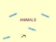 ANIMALS
