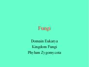 Fungi