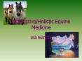 AlternativeHolistic Equine Medicine PowerPoint PPT Presentation