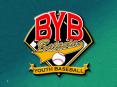 Batavia Youth Baseball PowerPoint PPT Presentation