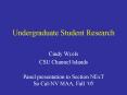 Undergraduate Student Research PowerPoint PPT Presentation