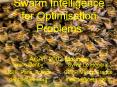 Swarm Intelligence for Optimisation Problems ACAT 2002 Moscow PowerPoint PPT Presentation