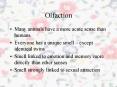 Olfaction PowerPoint PPT Presentation