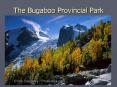 The Bugaboo Provincial Park PowerPoint PPT Presentation