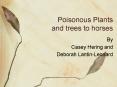 Poisonous Plants and trees to horses PowerPoint PPT Presentation