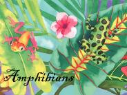 Amphibians