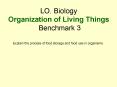 LO' Biology Organization of Living Things Benchmark 3 PowerPoint PPT Presentation