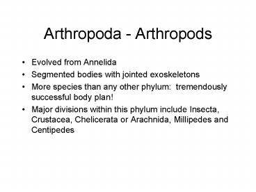 Arthropoda Arthropods