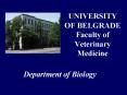 UNIVERSITY OF BELGRADE Faculty of Veterinary Medicine PowerPoint PPT Presentation