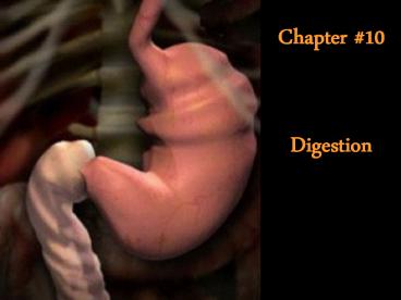 Digestion