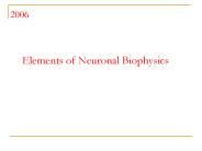 Elements of Neuronal Biophysics