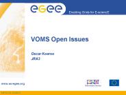 VOMS Open Issues