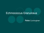 Echinococcus Granulosus