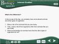 Interest Grabber PowerPoint PPT Presentation