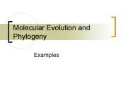Molecular Evolution and Phylogeny