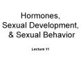 Hormones, Sexual Development, PowerPoint PPT Presentation