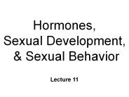 Hormones, Sexual Development,