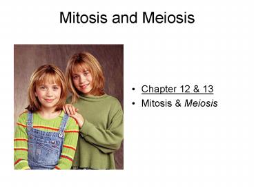 Mitosis and Meiosis