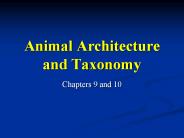 Animal%20Architecture%20and%20Taxonomy
