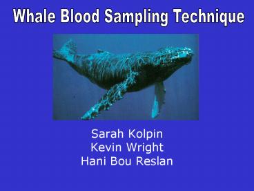 Sarah Kolpin Kevin Wright Hani Bou Reslan