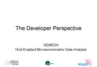 The Developer Perspective