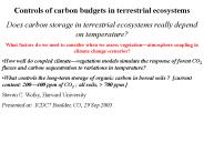 Controls of carbon budgets in terrestrial ecosystems