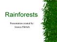 Rainforests PowerPoint PPT Presentation