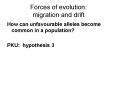 Forces of evolution:  migration and drift PowerPoint PPT Presentation
