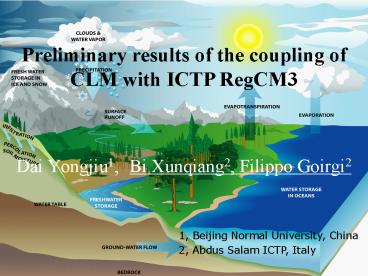 Dai Yongjiu1, Bi Xunqiang2, Filippo Goirgi2
