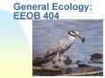General Ecology: EEOB 404 PowerPoint PPT Presentation