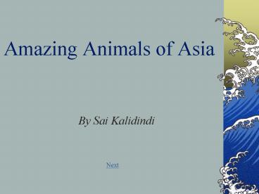 Amazing Animals of Asia