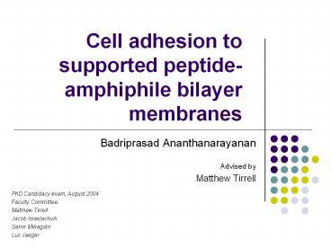 Cell adhesion to supported peptide-amphiphile bilayer membranes