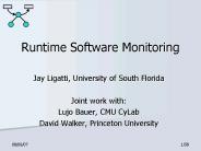 Runtime Software Monitoring