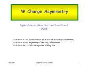 W Charge Asymmetry