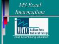 MS Excel Intermediate PowerPoint PPT Presentation
