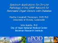 Spectrum Applications for OnLine Pathology in the JDRF Network for Pancreatic Organ Donors with Diab PowerPoint PPT Presentation