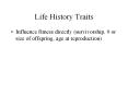 Life History Traits PowerPoint PPT Presentation