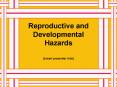 Reproductive and Developmental Hazards PowerPoint PPT Presentation