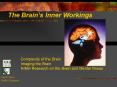 The Brains Inner Workings PowerPoint PPT Presentation
