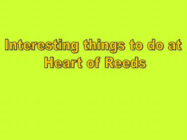 Interesting things to do at