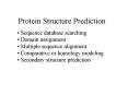 Protein Structure Prediction PowerPoint PPT Presentation