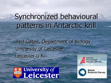 Synchronized behavioural patterns in Antarctic krill