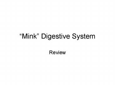 Mink Digestive System