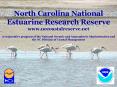 North Carolina National Estuarine Research Reserve www'nccoastalreserve'net A cooperative program of PowerPoint PPT Presentation
