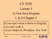 CS 303E