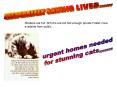 DESPERATELY SAVING LIVES'''''' PowerPoint PPT Presentation