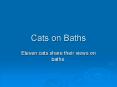 Cats on Baths PowerPoint PPT Presentation
